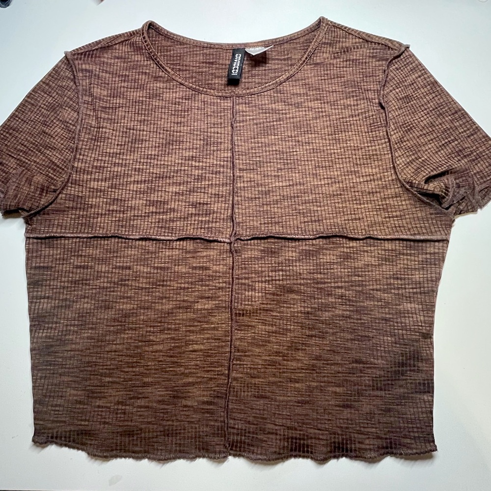 H&M Cropped Brown Top